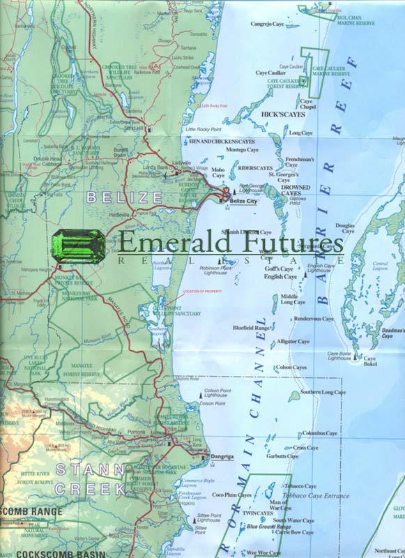 Emerald Futures Real Estate