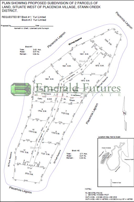 Emerald Futures Real Estate