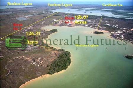 Emerald Futures Real Estate