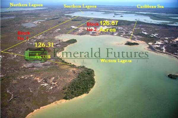 Emerald Futures Real Estate