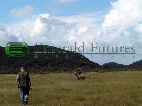 Emerald Futures Real Estate