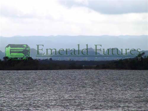 Emerald Futures Real Estate