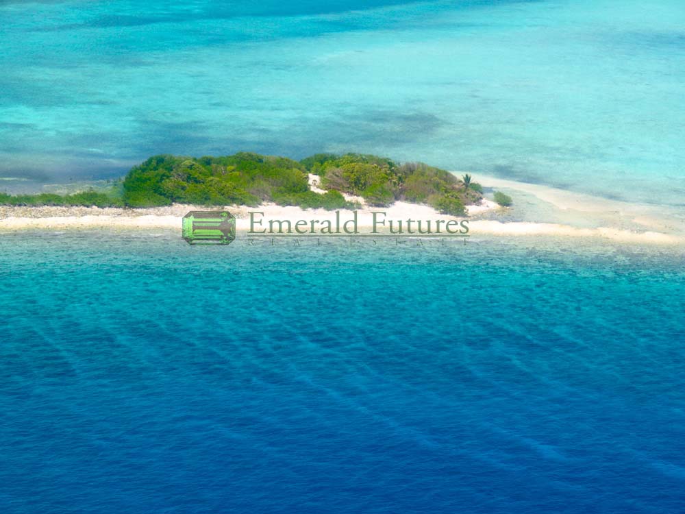 Emerald Futures Real Estate